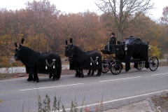 Koets-met-4-Friese-paarden